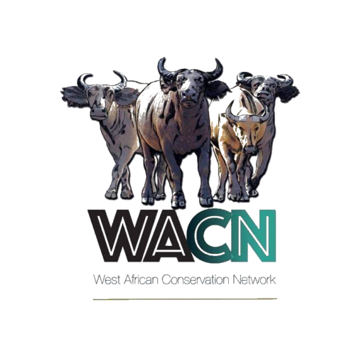 WACN LOGO