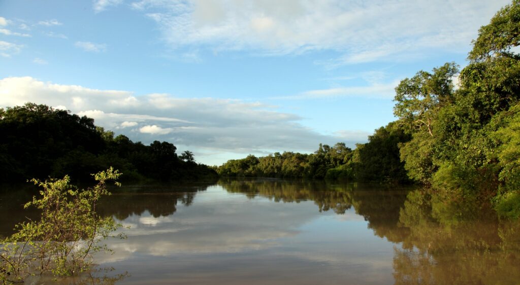 hippo lake (river oli) kainji lake national park (4893517813)