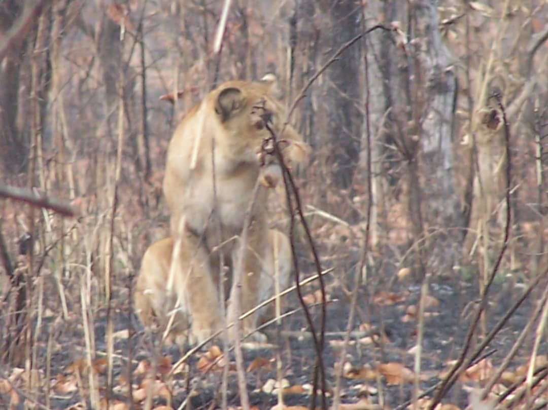 WACN Kainji Lake National Park Project whatsapp image 2026 01 24 at 19.28.30 (3)